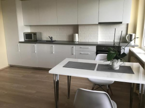  Ginos apartamentai Partizanu g.  Каунас